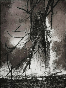 Waldbrand, 2022, Radierung und Aquatinta, 40 x 30 cm